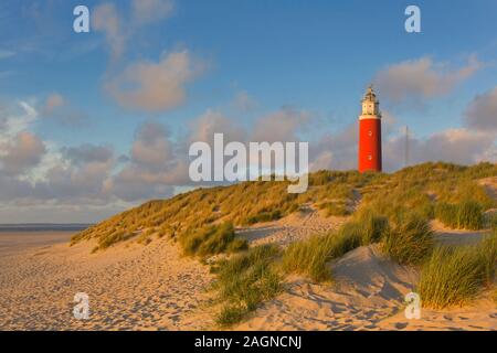 Eierland Leuchtturm in den Dünen am nördlichsten Punkt der niederländischen Insel Texel, Zeeland, Niederlande Stockfoto