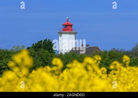 Leuchtturm Leuchtturm Westermarkelsdorf/Leuchtfeuer bin Hakenorth auf der Insel Fehmarn in der Ostsee, Ostholstein, Schleswig-Holstein, Deutschland Stockfoto