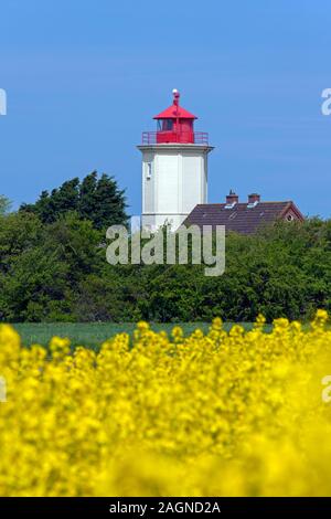 Leuchtturm Leuchtturm Westermarkelsdorf/Leuchtfeuer bin Hakenorth auf der Insel Fehmarn in der Ostsee, Ostholstein, Schleswig-Holstein, Deutschland Stockfoto