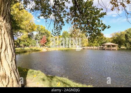 Anzeige der Farben des Herbstes an einem lokalen Park in Bishop, Kalifornien auf einen ruhigen Tag. Stockfoto