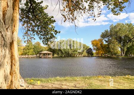 Anzeige der Farben des Herbstes an einem lokalen Park in Bishop, Kalifornien auf einen ruhigen Tag. Stockfoto