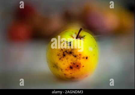 Künstlerische Darbietung von frisch geernteten Apple im Mason County, Michigan, USA Stockfoto
