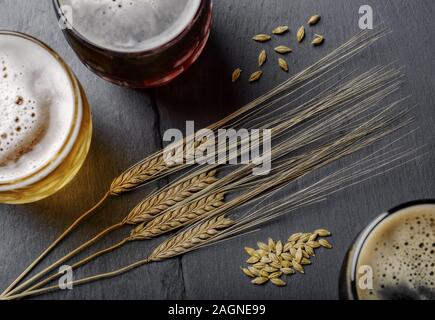High-Winkel Nahaufnahme von Weizenästen und Gläser von Bier auf einer grauen Oberfläche Stockfoto