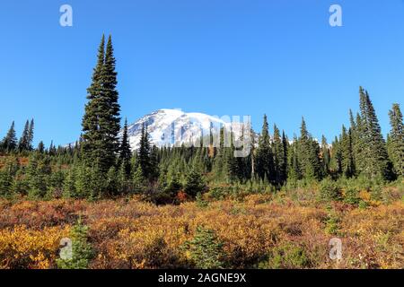 Voller Farben des Herbstes zu Winter Übergang am Mount Rainier National Park angezeigt, Seattle, Washington Stockfoto