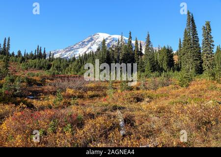 Voller Farben des Herbstes zu Winter Übergang am Mount Rainier National Park angezeigt, Seattle, Washington Stockfoto