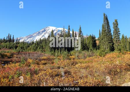 Voller Farben des Herbstes zu Winter Übergang am Mount Rainier National Park angezeigt, Seattle, Washington Stockfoto