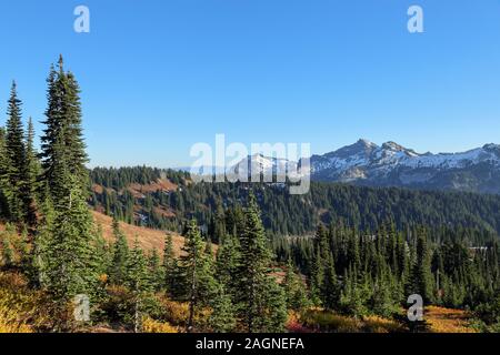 Voller Farben des Herbstes zu Winter Übergang am Mount Rainier National Park angezeigt, Seattle, Washington Stockfoto