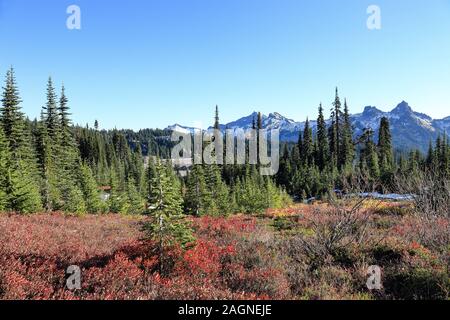 Voller Farben des Herbstes zu Winter Übergang am Mount Rainier National Park angezeigt, Seattle, Washington Stockfoto