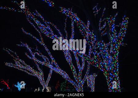 Weihnachtsbeleuchtung im Detroit Zoo 11/24/2017 Stockfoto