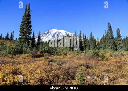 Voller Farben des Herbstes zu Winter Übergang am Mount Rainier National Park angezeigt, Seattle, Washington Stockfoto