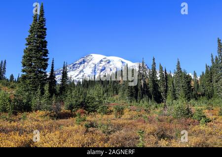 Voller Farben des Herbstes zu Winter Übergang am Mount Rainier National Park angezeigt, Seattle, Washington Stockfoto