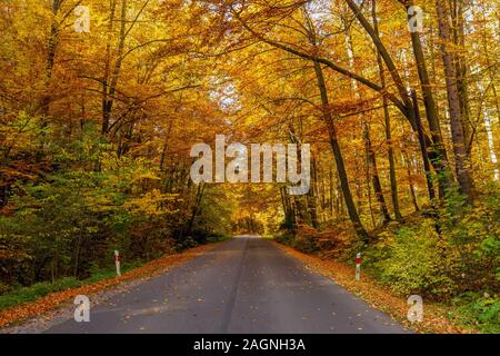 Herbst Landschaft der kurvenreichen Straße, bunte Bäume in Ojcow Nationalpark, Polen. Stockfoto