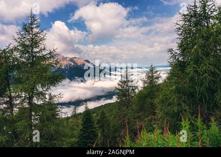 Dolomiten über den Wolken, Sexten Südtirol Stockfoto