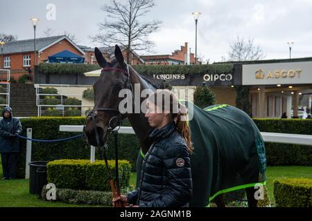 Ascot Weihnachten Familie Racing Wochenende, Ascot, Berkshire, Großbritannien. Dezember, 2019 20. Pferd gewinnt die Whatsupwithyou Eventmasters Maiden Hurdle Race. Credit: Alamy/Maureen McLean Stockfoto