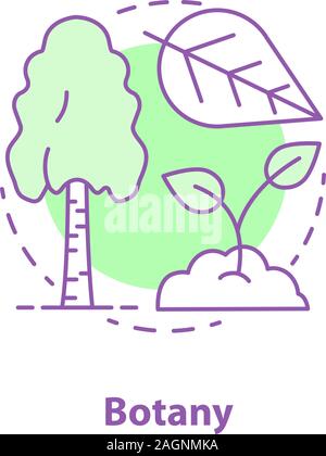 Botanik Konzept Symbol. Wissenschaft Idee dünne Linie Abbildung. Der pflanzenbiologie. Birke, Blatt, sprießen. Vektor isoliert Maßbild Stock Vektor