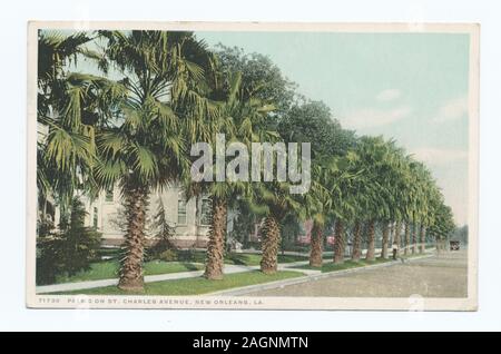 Postkarte Serie Artikelnummer: 71730 1913-1918, durch 1930 ausgestellt. Begann der "Vertrag", Karten für Museen und anderen Organisationen.; Palmen auf der St. Charles Avenue, New Orleans, La. Stockfoto