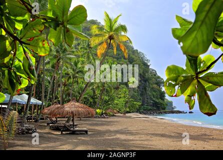 Anse Mamin Bucht mit Palm Beach, Soufriere, St. Lucia, Kleine Antillen, Karibik, Karibische Inseln Stockfoto