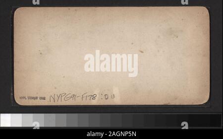 Panorama von WU Telegrafenamt, NY allgemeine Aussicht auf Manhattan, New York City: Lower Manhattan von der Post, die Tribüne, von der Brooklyn Bridge Tower, Western Union Building, der Schuß Tower, den Austausch zu produzieren und an anderen Orten, und ein Blick auf den Central Park und die angrenzenden Nachbarschaften von einem Flugzeug und einer Blickrichtung Nordost vom Flatiron Building entfernt. Blick von Anthony, Campbell, Kilburn Brüder und andere Fotografen und Verlage. Robert Dennis Sammlung von stereoskopische Ansichten. Einige Ansichten haben steuerstempel angebracht. Titel von CATALOGER.; Stockfoto