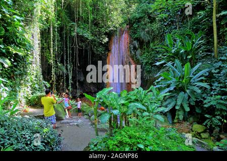 Diamond Wasserfall im Botanischen Garten mit tropischer Vegetation, Soufriere, St. Lucia, Kleine Antillen, Karibik, Karibische Inseln Stockfoto