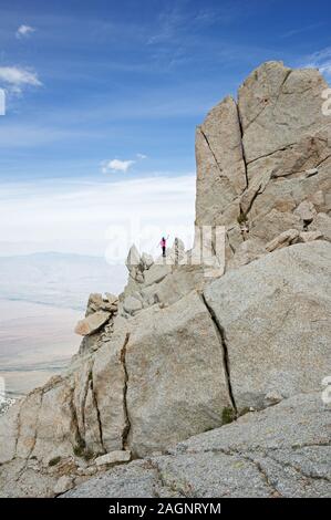 Frau Salden, während sie kriechen, um den Nordgrat des Lone Pine Peak Stockfoto