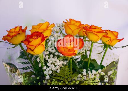 Orange Rosen Bouquet, mit weißem Hintergrund Stockfoto