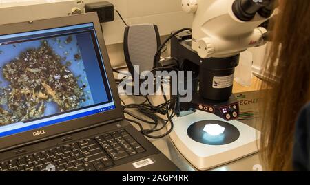 Explosive Vorrichtung Untersuchung und Analyse bei der FBI-Labor. Stockfoto