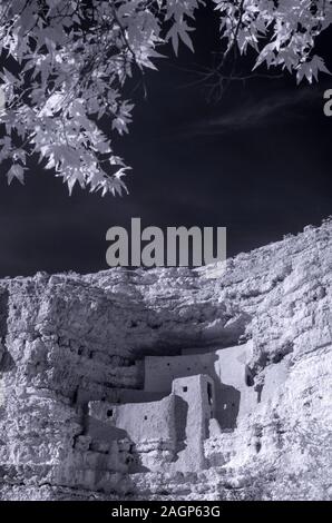 Montezuma Castle im Herbst, Verde Valley, Arizona Stockfoto