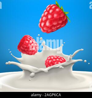 Himbeere Hochwertige Vektor realistische Abbildung Stock Vektor