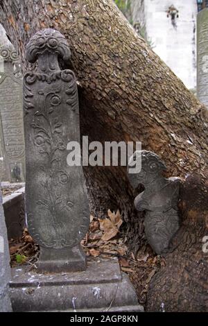 Osmanischen Grabsteine in einem Baum in Istanbul wächst Stockfoto