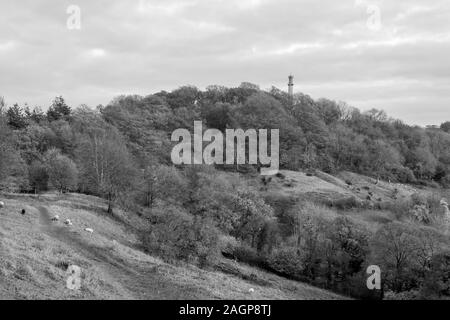 Landschaft Foto des Admiral Hood Monument in der Nähe von butleigh in Somerset. Stockfoto