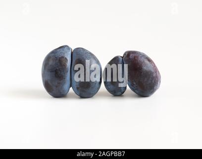 Trendy Hässliches Essen Konzept. Zwei violette Pflaumen auf einem weißen Hintergrund. Obst mit einer seltsamen Form. Das Problem von Speiseresten. Stockfoto