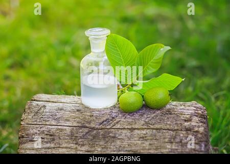 Zweig mit zwei unreife grüne Walnüsse mit Blättern, die für die Vorbereitung von Medikamenten und Tinkturen. Klar Flasche mit elixir Kork. Flasche Medizin auf Stum Stockfoto