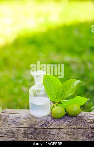 Zweig mit zwei unreife grüne Walnüsse mit Blättern, die für die Vorbereitung von Medikamenten und Tinkturen. Klar Flasche mit elixir Kork. Flasche Medizin auf Stum Stockfoto