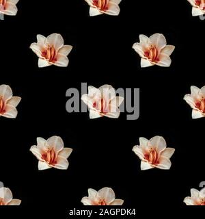 Nahtlose Muster mit daylily Blumen auf schwarzem Hintergrund. Floralen Muster. Tropische abstrakt Hintergrund. Stockfoto