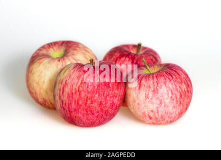 Vier Äpfel auf weißem Hintergrund. Rot saftige reife Äpfel Close-up. Frische gestreifte Früchte. Von der Seite. Stockfoto