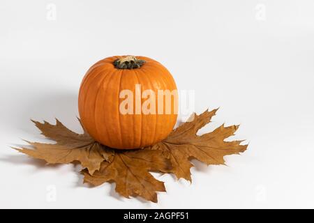 Herbst Komposition. Kürbis, trockene Blätter auf einem weißen Holz- Hintergrund. Herbst Erntedankfest Hintergrund. Herbst Konzept. Stockfoto
