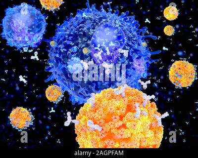 Computer Abbildung von Plasma Zellen (B-Zellen, Orange), die TNF-Antikörper (weiß) gegen Viren (blau). Antikörper binden an spezifische Antigene, zum Beispiel virale Proteine, Kennzeichnung, die Sie für die Zerstörung durch phagocyte Immunzellen. Stockfoto