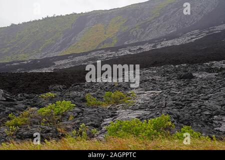 Lavafeld mit neueren und älteren fließt von Kilauea Vulkan in Volcanoes National Park, Big Island von Hawaii. Stockfoto