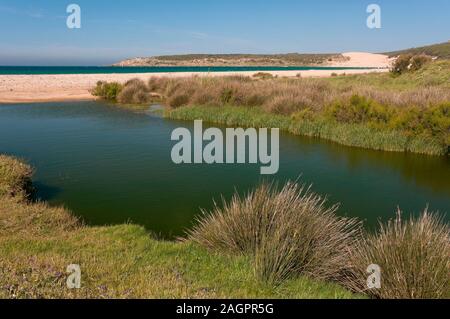 Strand von Bolonia, Tarifa, Provinz Cadiz, Andalusien, Spanien, Europa. Stockfoto