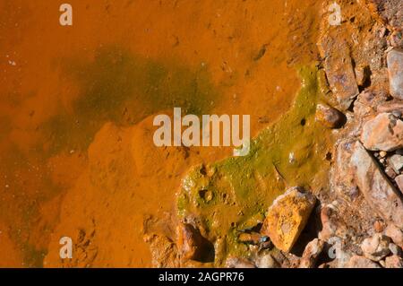 Rio Tinto - Algen, Villarrasa, Provinz Huelva, Andalusien, Spanien, Europa. Stockfoto