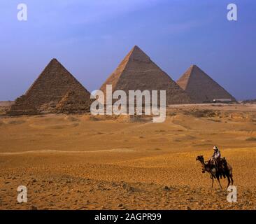 Kamel und Pyramiden, Giza Plateau, Kairo, Ägypten, Afrika. Stockfoto