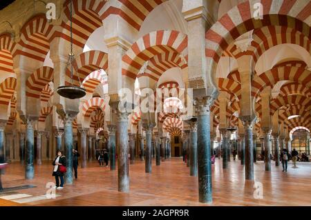 Hypostyl der Großen Moschee, Cordoba, Andalusien, Spanien, Europa. Stockfoto