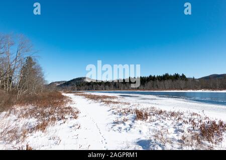 Rehe spuren im schnee auf einem Trail entlang der Ufer der Sacandaga River in den Adirondack Mountains, NY, USA Stockfoto