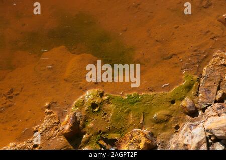 Rio Tinto - Algen, Villarrasa, Provinz Huelva, Andalusien, Spanien, Europa. Stockfoto