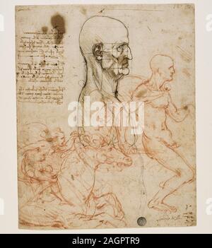 Menschliche Büste im Profil mit Studium der Proportionen. Museum: Gallerie dell'Accademia, Venedig. Autor: LEONARDO DA VINCI. Stockfoto