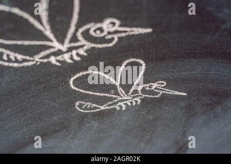 Mücken auf der Tafel mit Kreide gezeichnet Stockfoto