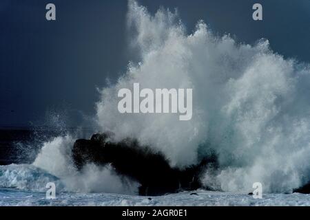 Pacific Grove, Monterey, CA, USA. 20 Dez, 2019. Winterstürme im nördlichen Pazifik verursachen riesige Wellen auf die Felsen der berühmten und malerischen Pacific Grove Küste zum Absturz zu bringen. Credit: Motofoto/Alamy leben Nachrichten Stockfoto