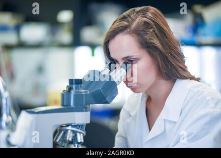 Frau Forschung Wissenschaftler im Labor arbeiten Stockfoto