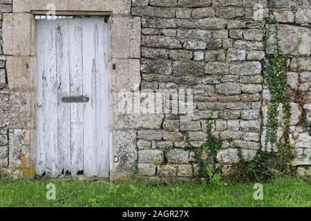 Alte Tür und Reben wachsen auf Wand Stockfoto