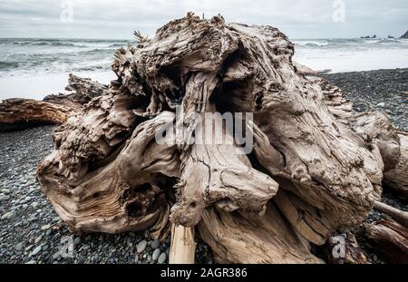 Treibholz, Rialto Beach, Washington Olympischen Küste, USA. Stockfoto